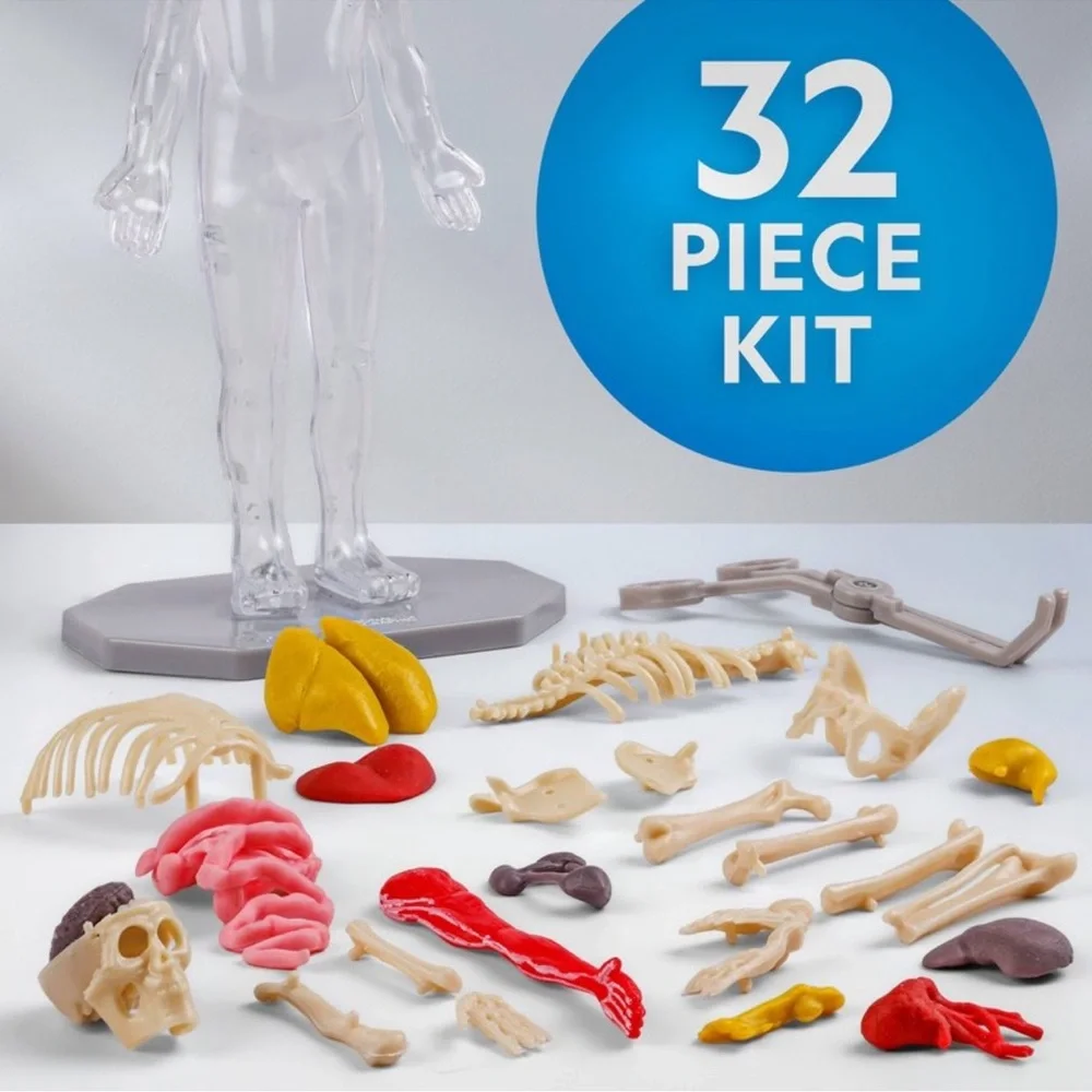 National Geographic Glow-In-The-Dark Human Body: Science Kit & Activity Guide